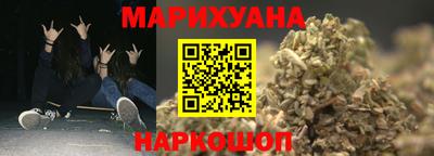 сатива Будённовск