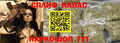 гашик Бузулук