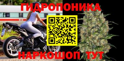 гашик Бузулук