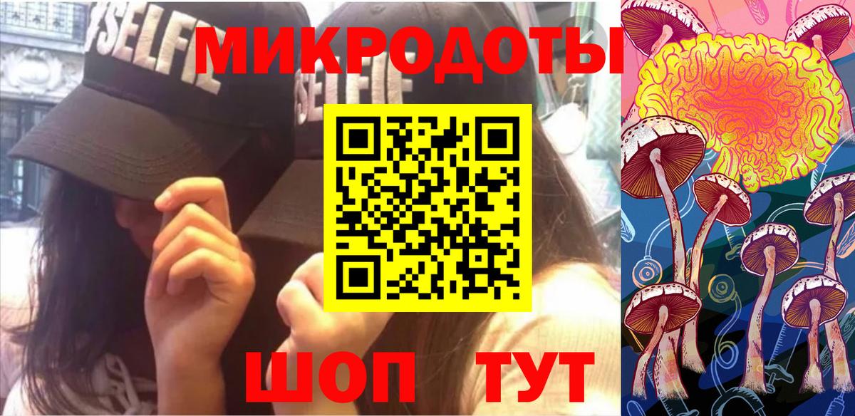 Псилоцибиновые грибы Cubensis Симферополь